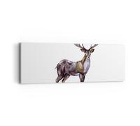 Cuadro Sobre Lienzo 90x30cm Cuadros Pared Querido Animal Salvaje Bosque Wall Art