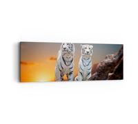Cuadro Sobre Lienzo 90x30cm Cuadros Pared Tigres blanco roca puesta del sol Art