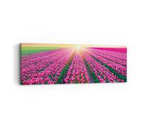 Cuadro Sobre Lienzo 90x30cm Cuadros Pradera tulipanes puesta de sol la primavera