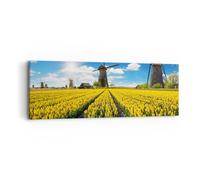 Cuadro Sobre Lienzo 90x30cm Cuadros Tulipanes molino de viento pradera paisaje