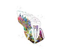 Cuadro sobre lienzo for pared con dientes coloridos, póster nórdico, carteles de Hospital Dental, Cuadros, for sala estar sin marco(N,20X25cm NoFrame)