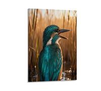 Cuadro Sobre Lienzo Martín Pescador Impresión En Lienzo Cañas del Pantano Cuadro Moderno Para Sala De Estar Hogar Oficina Regalos Creativos 08x12inch(20x30cm)