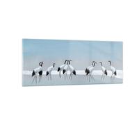 Cuadro Sobre Vidrio 100x40cm Cuadros Pared Aves Grullas Naturaleza Wall Art