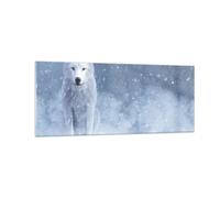 Cuadro Sobre Vidrio 100x40cm Cuadros Pared Blanco lobo nieve Wall Art Prints