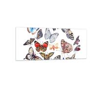 Cuadro Sobre Vidrio 100x40cm Cuadros Pared Butterflys ilustración colorido alas