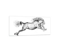 Cuadro Sobre Vidrio 100x40cm Cuadros Pared Caballo Dibujo Lápiz Wall Art Prints