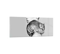 Cuadro Sobre Vidrio 100x40cm Cuadros Pared Chinchilla Mujer Retrato Wall Art