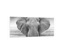 Cuadro Sobre Vidrio 100x40cm Cuadros Pared Elefante África Animales Wall Art