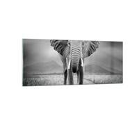 Cuadro Sobre Vidrio 100x40cm Cuadros Pared Elefante Salvaje Naturaleza Wall Art