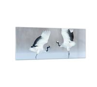 Cuadro Sobre Vidrio 100x40cm Cuadros Pared Grullas Lucha Danza Wall Art Prints