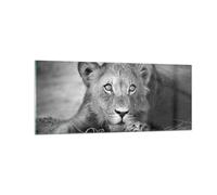 Cuadro Sobre Vidrio 100x40cm Cuadros Pared León Asia Retrato Wall Art Prints