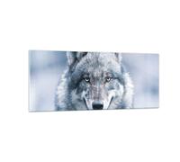 Cuadro Sobre Vidrio 100x40cm Cuadros Pared lobo depredador salvajismo Wall Art