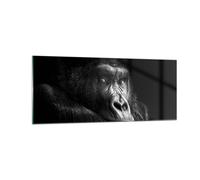 Cuadro Sobre Vidrio 100x40cm Cuadros Pared Mono Gorila Retrato Wall Art Prints