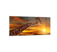 Cuadro Sobre Vidrio 100x40cm Cuadros Pared Palma Paisaje Sol Wall Art Prints