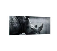 Cuadro Sobre Vidrio 100x40cm Cuadros Pared Rinoceronte Blanco Y Negro Retrato