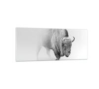 Cuadro Sobre Vidrio 100x40cm Cuadros Pared Sabio Blanco Y Negro Luz Wall Art