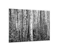 Cuadro Sobre Vidrio 100x70cm Cuadros Pared Abedules Bosque Monocromo Wall Art