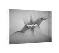 Cuadro Sobre Vidrio 100x70cm Cuadros Pared Beso Amor Pareja Wall Art Prints