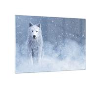 Cuadro Sobre Vidrio 100x70cm Cuadros Pared Blanco lobo nieve Wall Art Prints