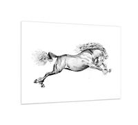 Cuadro Sobre Vidrio 100x70cm Cuadros Pared Caballo Dibujo Lápiz Wall Art Prints