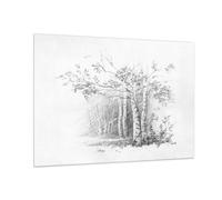 Cuadro Sobre Vidrio 100x70cm Cuadros Pared Esbozo Bosque Abedul Wall Art Prints