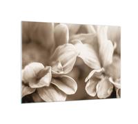 Cuadro Sobre Vidrio 100x70cm Cuadros Pared Flores Boho Sin Wall Art Prints Decor