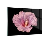Cuadro Sobre Vidrio 100x70cm Cuadros Pared Hibisco Flor Rosa Wall Art Prints