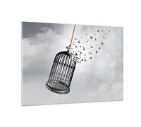 Cuadro Sobre Vidrio 100x70cm Cuadros Pared Libertad Jaula Aves Wall Art Prints