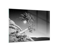 Cuadro Sobre Vidrio 100x70cm Cuadros Pared Llena La Luna Árbol Wall Art Prints