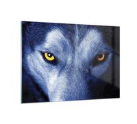 Cuadro Sobre Vidrio 100x70cm Cuadros Pared Mira El Lobo Ojos Wall Art Prints