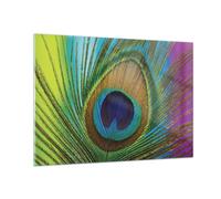 Cuadro Sobre Vidrio 100x70cm Cuadros Pared Pavos Reales Pluma Arco Iris Wall Art