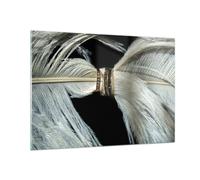 Cuadro Sobre Vidrio 100x70cm Cuadros Pared Pluma Romántico Matrimonio Wall Art