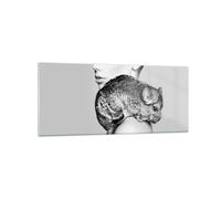 Cuadro Sobre Vidrio 120x50cm Cuadros Pared Chinchilla Mujer Retrato Wall Art