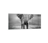 Cuadro Sobre Vidrio 120x50cm Cuadros Pared Elefante Salvaje Naturaleza Wall Art