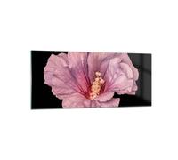 Cuadro Sobre Vidrio 120x50cm Cuadros Pared Hibisco Flor Rosa Wall Art Prints