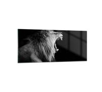 Cuadro Sobre Vidrio 120x50cm Cuadros Pared León Bostezo Blanco Y Negro Wall Art