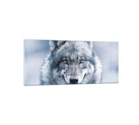 Cuadro Sobre Vidrio 120x50cm Cuadros Pared lobo depredador salvajismo Wall Art