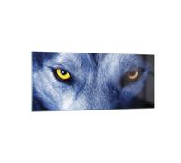 Cuadro Sobre Vidrio 120x50cm Cuadros Pared Mira El Lobo Ojos Wall Art Prints