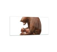 Cuadro Sobre Vidrio 120x50cm Cuadros Pared Oso Ositos De Peluche Para Niños Art