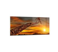 Cuadro Sobre Vidrio 120x50cm Cuadros Pared Palma Paisaje Sol Wall Art Prints