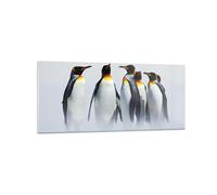 Cuadro Sobre Vidrio 120x50cm Cuadros Pared Pingüinos invierno nieve a pie Art