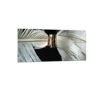 Cuadro Sobre Vidrio 120x50cm Cuadros Pared Pluma Romántico Matrimonio Wall Art