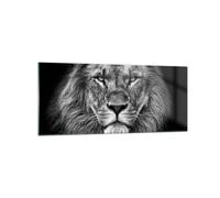 Cuadro Sobre Vidrio 120x50cm Cuadros Pared Retrato León Blanco Y Negro Wall Art