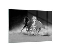 Cuadro Sobre Vidrio 120x80cm Cuadros Pared Andaluz Caballos Galope Wall Art