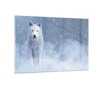 Cuadro Sobre Vidrio 120x80cm Cuadros Pared Blanco lobo nieve Wall Art Prints
