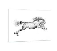 Cuadro Sobre Vidrio 120x80cm Cuadros Pared Caballo Dibujo Lápiz Wall Art Prints