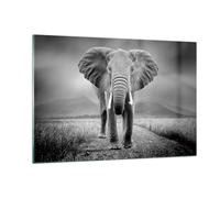 Cuadro Sobre Vidrio 120x80cm Cuadros Pared Elefante Salvaje Naturaleza Wall Art