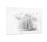 Cuadro Sobre Vidrio 120x80cm Cuadros Pared Esbozo Bosque Abedul Wall Art Prints
