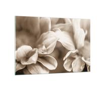Cuadro Sobre Vidrio 120x80cm Cuadros Pared Flores Boho Sin Wall Art Prints Decor