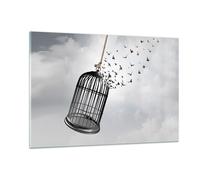 Cuadro Sobre Vidrio 120x80cm Cuadros Pared Libertad Jaula Aves Wall Art Prints